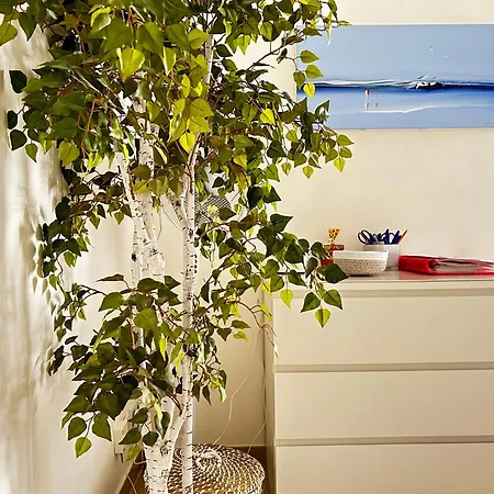 Elegant A 50m De La Croisette Et Ses Plages - Ada Serenity Апартаменты Канны