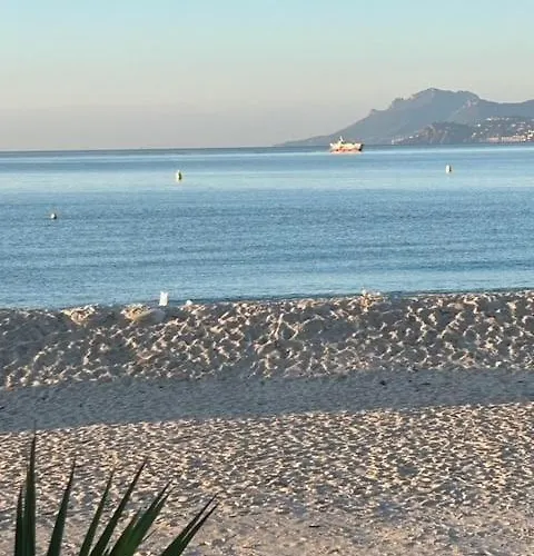 Elegant A 50m De La Croisette Et Ses Plages - Ada Serenity Cannes